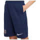 Nike Παιδικό σορτς Paris Saint-Germain Dri-FIT Academy Pro Shorts